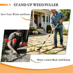 Crack Weeder Tool for Driveway & Patio, Crevice Weeding Tool with Long Handle, Stainless Steel Weed Remover for Sidewalk, Garden, Lawn