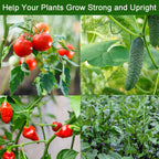 Frcctre 50 Pack 16 Inches Garden Stakes with 25 Connectors, Connectable Plant Support Stakes Plastic Coated Metal Tomato Sticks Plant Climbing Support for Tomatoes, Cucumber, Beans, Potted Plants