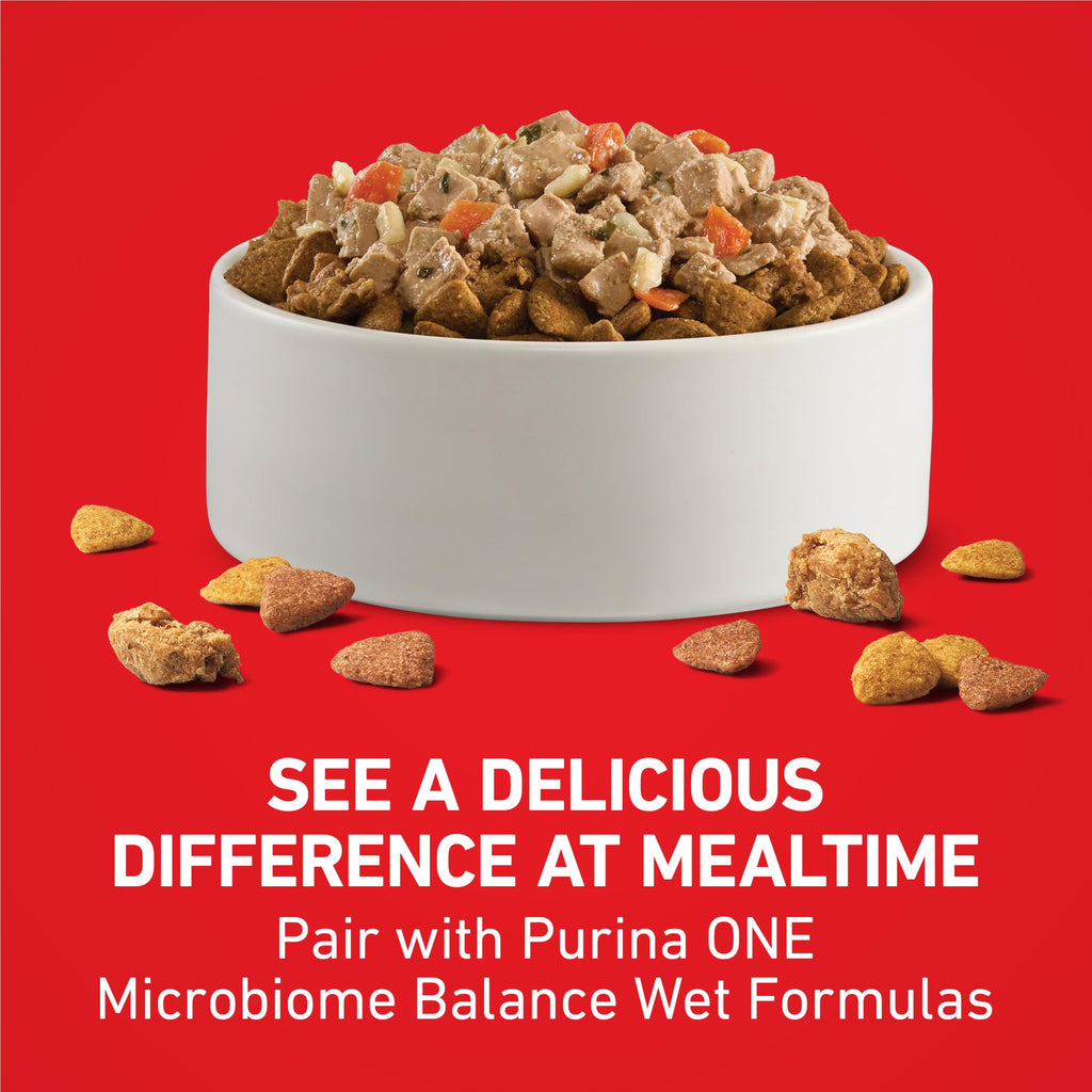 Purina ONE Chicken & Rice Formula Dry Dog Food, 8 lb Bag