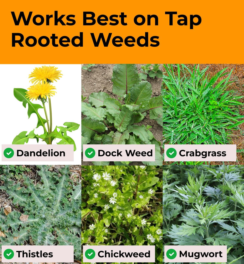 Craft911 Stand Up Weed Puller Tool with Long Handle - Dandelion Weeding Tool, No More Bending