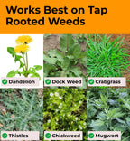 Craft911 Stand Up Weed Puller Tool with Long Handle - Dandelion Weeding Tool, No More Bending