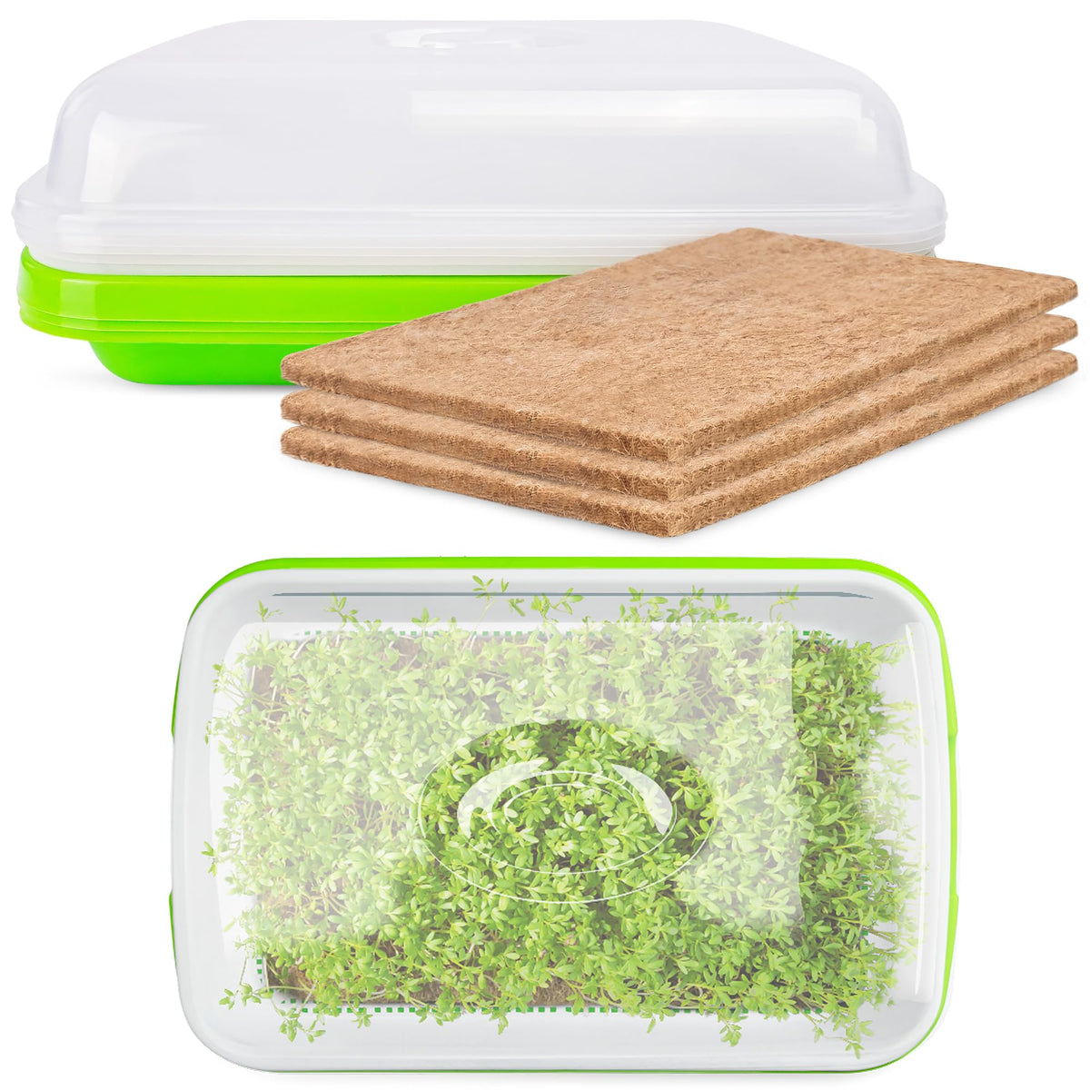 Microgreens Growing Trays with Lids and Coconut Fiber Mat,Seed Sprouter Tray with Drain Holes,Seed Starter Tray Reusable,Microgreens Growing Trays,Cat Grass Growing Kit for Indoor Cats (Pack 3)