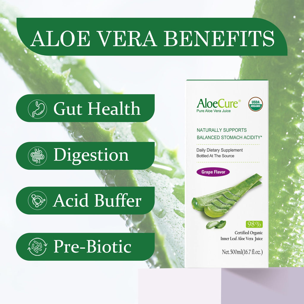 AloeCure USDA Organic Aloe Vera Juice Grape Flavor, Made Within 12 Hours of Harvest - Pure Aloe Vera Digestive & Immune Health Supplement, Helps Maintain Balanced Stomach Acidity, 16.7oz x 2 Btls