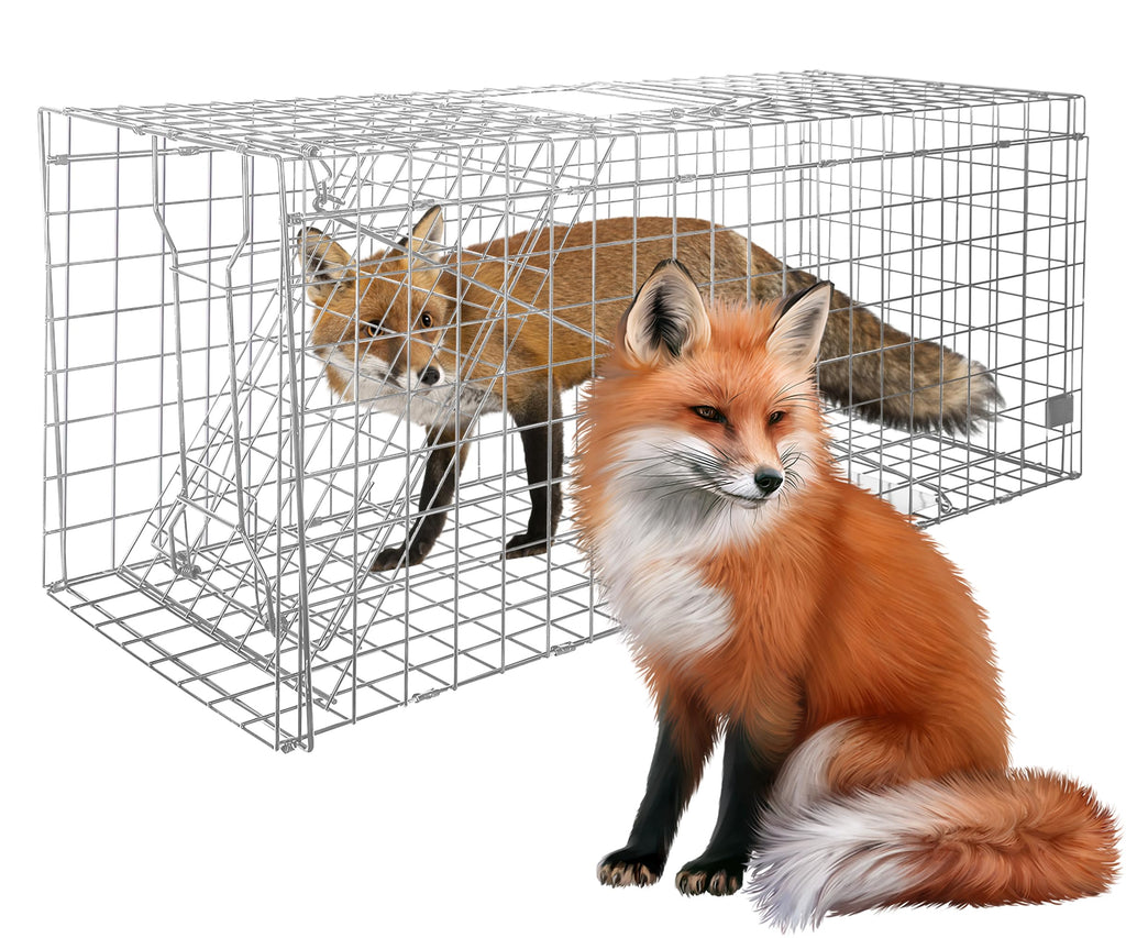 Large Live Animal Trap for Fox,42.5" X15 X17 Extra Large Animal Trap, Live Animal Traps cage for Raccoons Heavy Duty,Fox Traps for Trapping,Coyotes,Humane Catch and Release