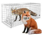 Large Live Animal Trap for Fox,42.5" X15 X17 Extra Large Animal Trap, Live Animal Traps cage for Raccoons Heavy Duty,Fox Traps for Trapping,Coyotes,Humane Catch and Release