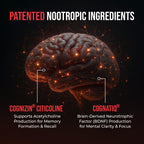 All-Natural Brain Supplement for Memory and Focus - Caffeine-Free Long-Term Cognitive Support - 10 Nootropic Ingredients Including Lion’s Mane, Bacopa, Turmeric, Ginkgo & Huperzine A - 90 Capsules