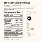 Solgar B-Complex "100", 250 Vegetable Capsules - Nervous System Support - Supports Energy Metabolism - Non-GMO, Vegan, Gluten Free, Dairy Free, Kosher - 250 Servings