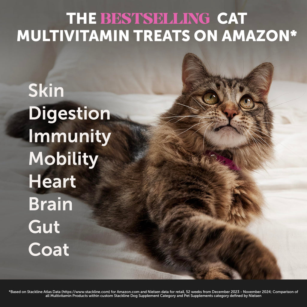 Pet Honesty Cat Multivitamin, Cat Treats Alternative, Chicken 30-Day Supply