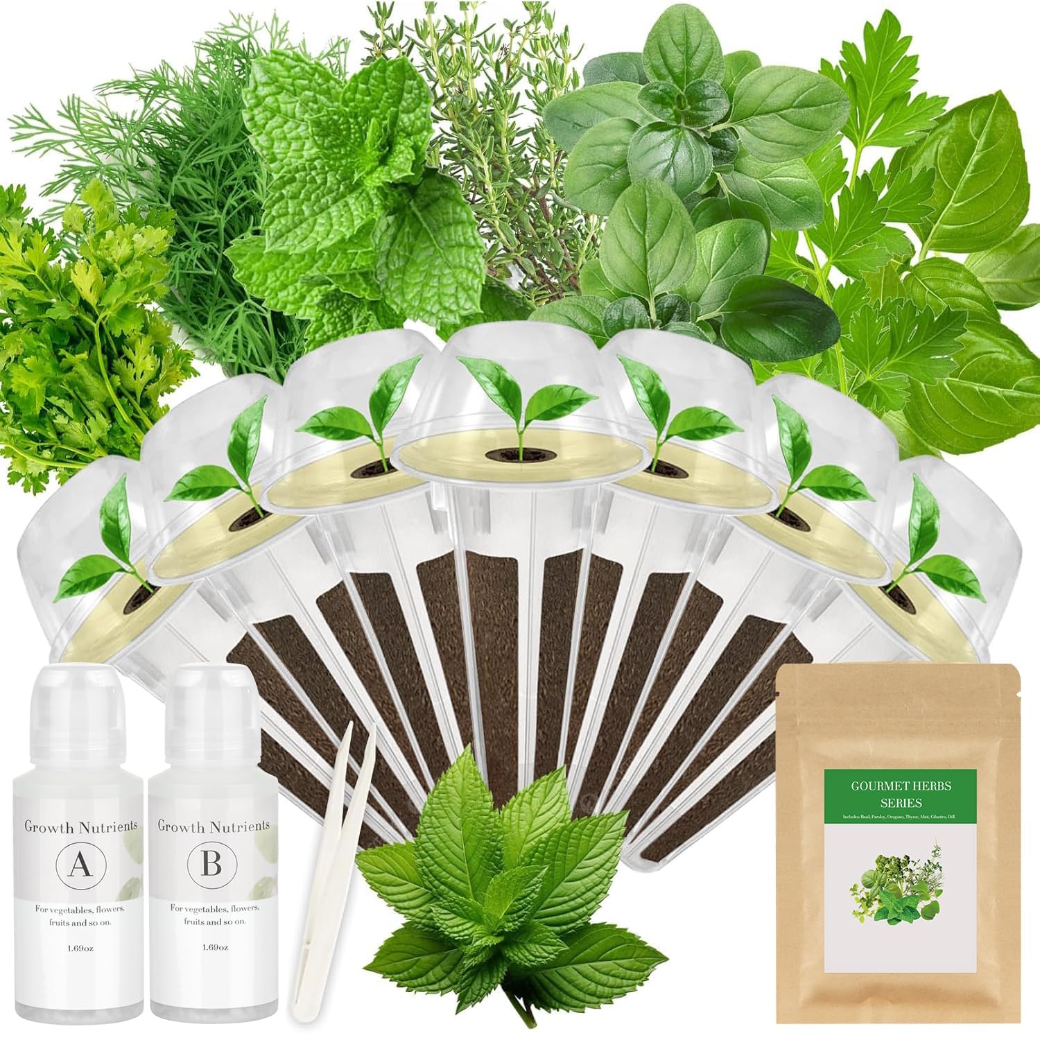Gourmet Herb Seed Pod Kit for AeroGarden, idoo, Ahopegarden, MUFGA Hydroponics Garden with Basil, Parsley, Thyme, Mint, Cilantro, Dill, Oregano - Compatible with All Hydroponics (7-Pod)
