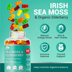 BIO VITALICA Sea Moss Gummies Elderberry BioVitalica - Vitamin C D + Zinc - Irish Seamoss Vegan Gummy with Sea Moss Gel & Powder for Immunity, Detox - for Adults and Kids (3Packs)