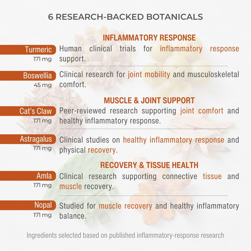 Inflammation Support for Muscle, Joint & Tissue | 6 Botanicals | 60 Caps
