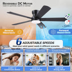 Ayaoty 52" Black Ceiling Fans with Lights and Remote - Flush Mount Fan Light with 5 Reversible Blades, 3CCT Dimmable, DC, Low Profile Ceiling Fan for Modern Indoor, Covered Outdoor