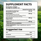 VEV Oil of Oregano with Black Seed Oil & Moringa, Organic, 300 Softgels, Aceite de Orégano, Carvacrol-Rich, Opaque Airtight Packaging, Immune Support Supplement