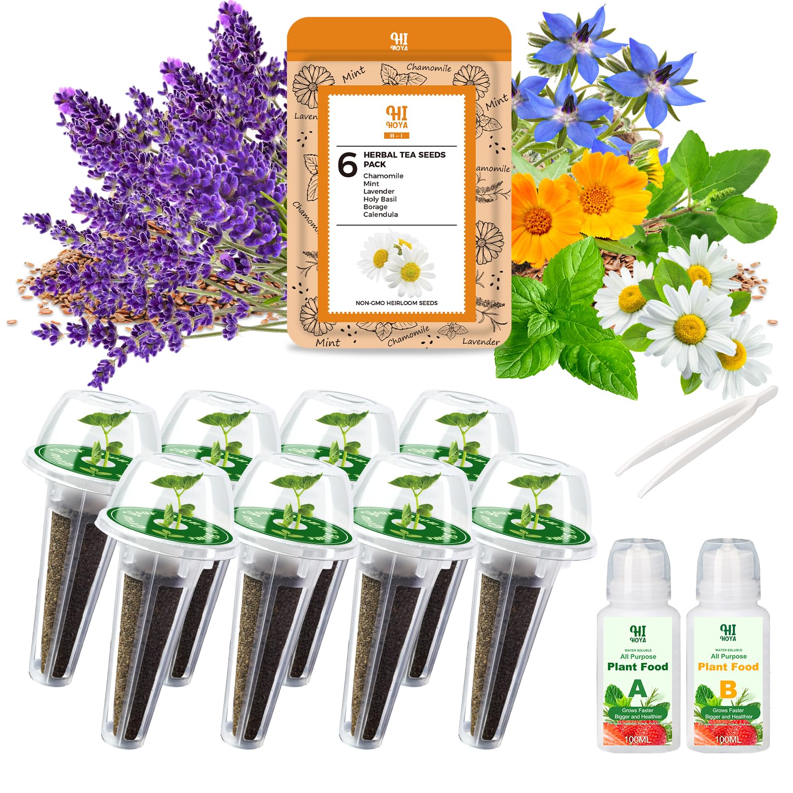 Lavender Seed Pod Kit, 8 Pod Kit (Include Seed Lavender/Chamomile/Holy Basil/Borage/Calendula/Mint) Fresh Tea Seed Pod Kit Compatible with Hydroponics