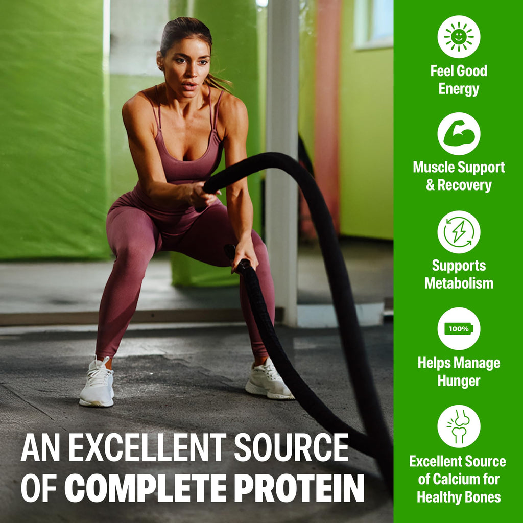 Orgain 38g High Protein Shake, Dairy Isolate Protein Milk, Vanilla, 6g BCAAs, 1g Sugar Per Serving, Meal Replacement, Ready to Drink, Keto Friendly, Gluten-Free 14 Fl Oz (Pack of 12)
