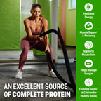 Orgain 38g High Protein Shake, Dairy Isolate Protein Milk, Vanilla, 6g BCAAs, 1g Sugar Per Serving, Meal Replacement, Ready to Drink, Keto Friendly, Gluten-Free 14 Fl Oz (Pack of 12)