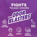 ARM & HAMMER Plus OxiClean with Odor Blasters Liquid Laundry Detergent, Laundry Odor Remover, Attacks Stains, Fresh Burst Scent, 154 Loads, 200.2 Fl Oz
