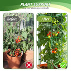 6 Pack Tomato Cage for Garden & Pots, Rust-Resistant Metal Plant Support