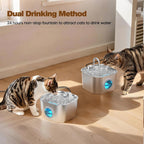 Cat Water Fountain Stainless Steel: Pet Fountains for Cats/Dog Indoor 74oz