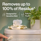 The Honest Company Flushable Wipes for Sensitive Skin, Hypoallergenic, Fragrance-Free, Gilded Wings Design, 126 Count