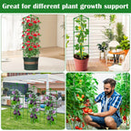 3 Packs Fiberglass Tomato Cages for Garden, 56 Inch Tall Tomato Plant Support, Adjustable Tomatoes Stakes Plant Climbing Trellis for Garden Vegetables Fruits, Tomatoes Support Cages with Clips