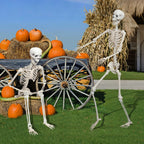 LOSFOTBO 5.9Ft/180cm Giant Skeleton Poseable Skeleton Realistic Full Body Bones for Halloween Decorations
