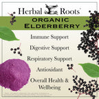 Herbal Roots Organic Black Elderberry Capsules | Max Strength | Made with Organic Sambucus | 60 Vegan Capsules (Pack of 2)