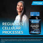 WELLNESS LABSRX Liposomal NAD Supplement, 1500mg - NAD Resveratrol Supplement for Women and Men, NAD+ Support Cellular Health, Energy & Anti Aging - 3 Pack