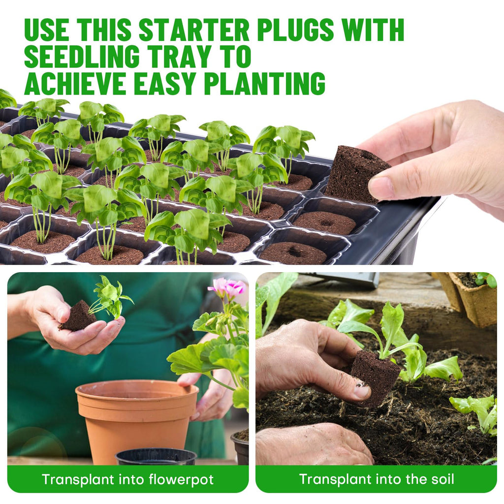 LAPOND 40 Pcs Seed Starter Plugs with Tray, Replacement Grow Sponges Plant Plugs, Great for Soil, Tray or Planting Pods, Promotes Herbs, Vegetables and Flowers Growth