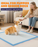 Powools Puppy Pads, 22 x 22 in, Super Absorbent, Spill-Proof, 100 Packs
