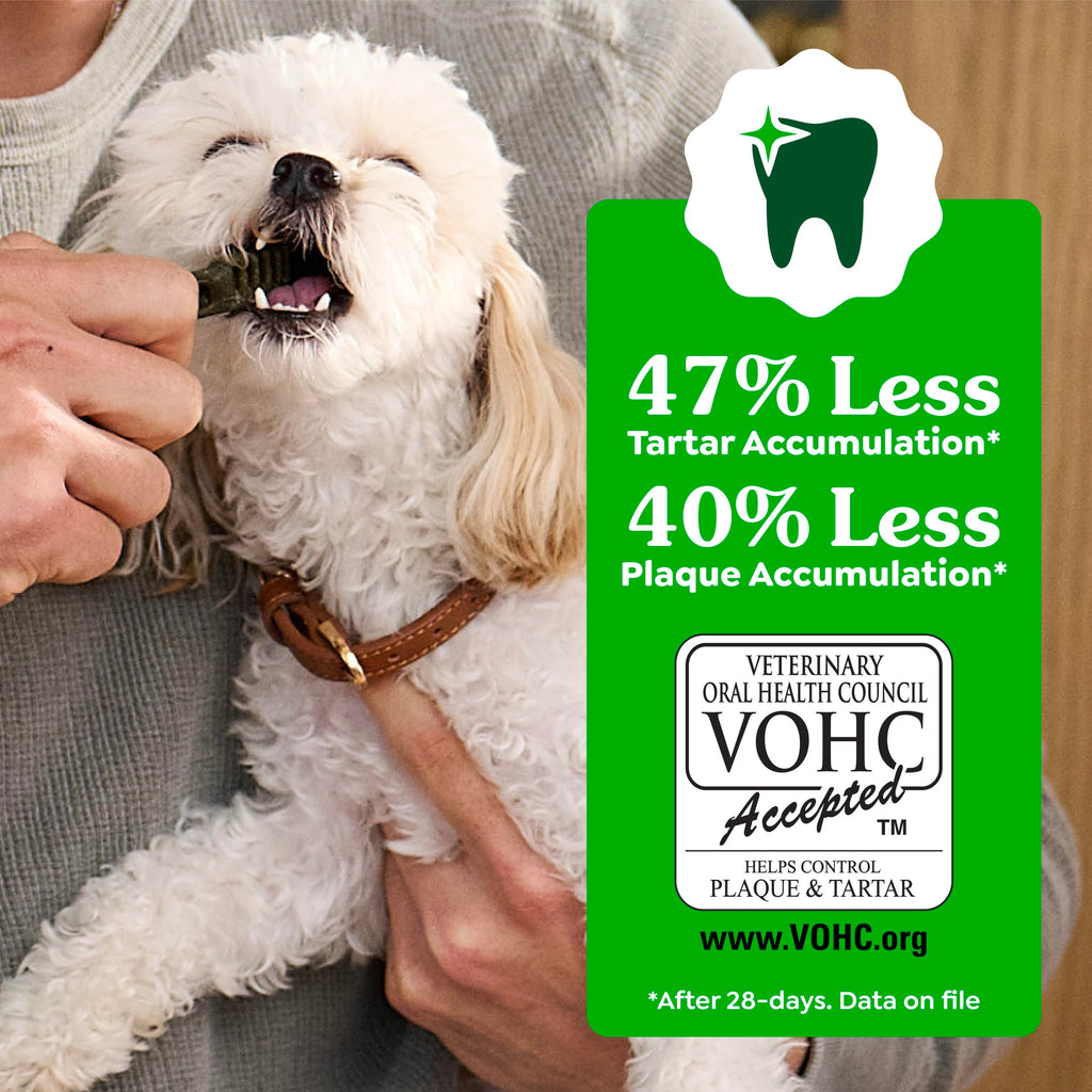 Greenies Regular Dental Dog Treats, Original Chicken Flavor, 36 Count
