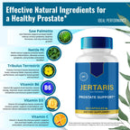 IDEAL PERFORMANCE Jertaris Capsules, Jertaris Prostate Health Supplement Pills - Extra Strength, Jertaris Supports Prostate Heath All Natural Formula, Jerta RIS Capsules, Jer Taris Reviews (3 Pack)