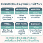 Mullein TUDCA NAC Quercetin with Bromelain Gummies, N‑Acetylcysteine N‑Acetyl‑Cysteine N‑Acetyl‑L‑Cysteine Bile Salts Milk Thistle, Mullein Leaf Drops & Lozenges Alt Supplement for Lungs 500-mg 600-mg