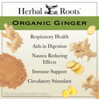 Herbal Roots Ginger Supplement | Organic Ginger Root Capsules | 1,200 mg of Pure Ginger Powder per Serving | 60 Vegan Capsules