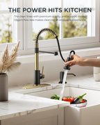 FORIOUS Kitchen Faucet with Pull Down Sprayer, Stainless Steel Commercial Single Handle Classic Spring Pull Out Sink Faucet for Pot Filler, Farmhouse Camper Bar Laundry Room, Black Gold