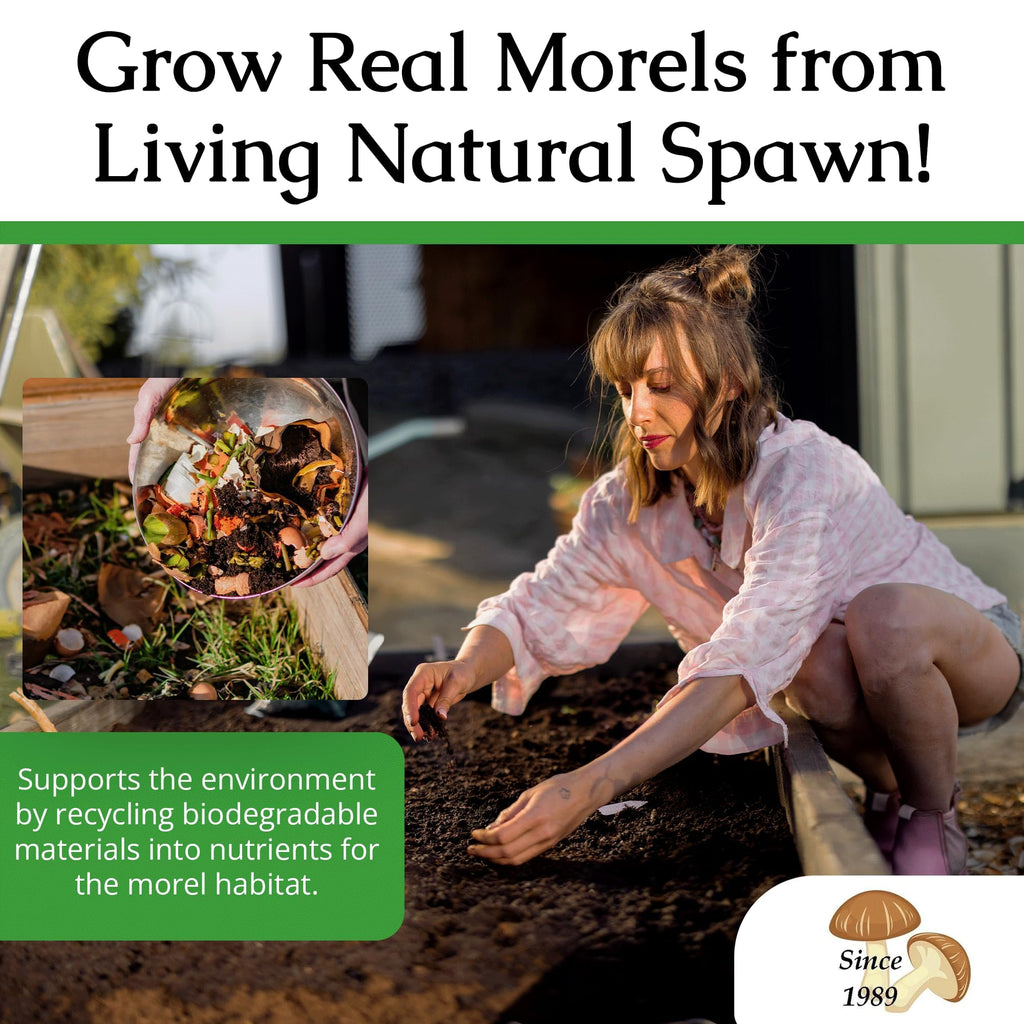 MOREL HABITAT KIT® Morel Mushroom Growing Kit (Morchella)