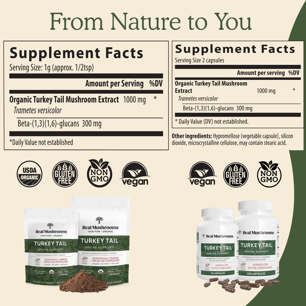 Real Mushrooms Turkey Tail Capsules – Organic Mushroom Extract for Wellness & Daily Rhythm – Vegan, Non-GMO, No Fillers Turkey Tail Extract – 90 Count Mushroom Supplement