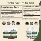 Real Mushrooms Turkey Tail Capsules – Organic Mushroom Extract for Wellness & Daily Rhythm – Vegan, Non-GMO, No Fillers Turkey Tail Extract – 90 Count Mushroom Supplement