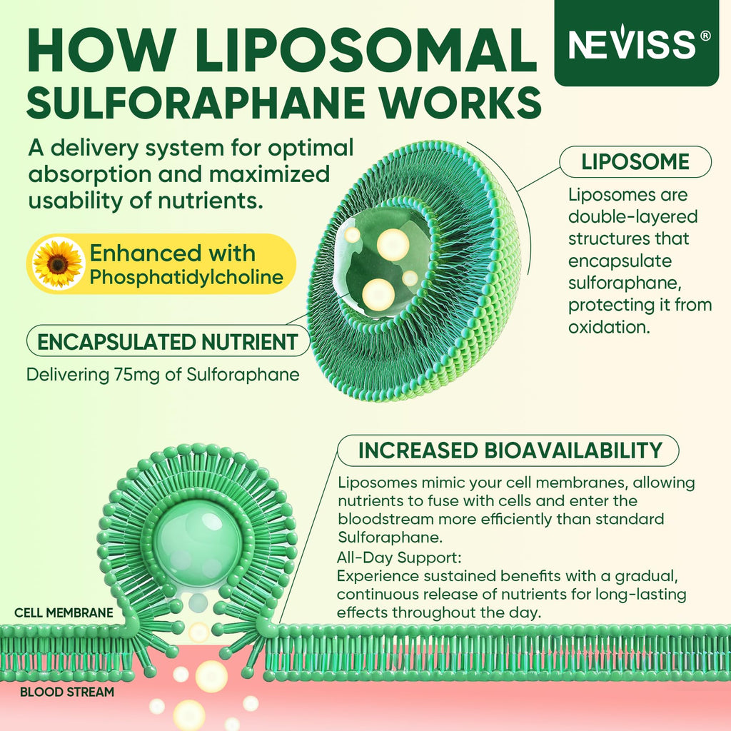 Liposomal Sulforaphane Supplement, Broccoli Gummies, Broccoli Sprouts Extract w/Myrosinase, Omega-3, Vitamin C, E for Kids 4+ & Adults, Supports Cognitive, Brain, Cellular Health, Antioxidant, 120 Cts