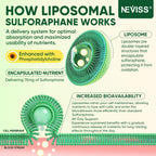 Liposomal Sulforaphane Supplement, Broccoli Gummies, Broccoli Sprouts Extract w/Myrosinase, Omega-3, Vitamin C, E for Kids 4+ & Adults, Supports Cognitive, Brain, Cellular Health, Antioxidant, 120 Cts