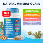 Viteey Sea Moss Capsules with Black Seed Oil - 16in1 MineralGuard