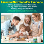 2 Pack Algae Omega 3 Gummies 1000mg, Plant Based DHA 460mg & EPA 230mg, Omega 3 Fish Oil Alternative for Adults, Plus MethylFolate, Vitamin B12, Phosphatidylserine, No Fishy Taste, Vegan, Sugar Free
