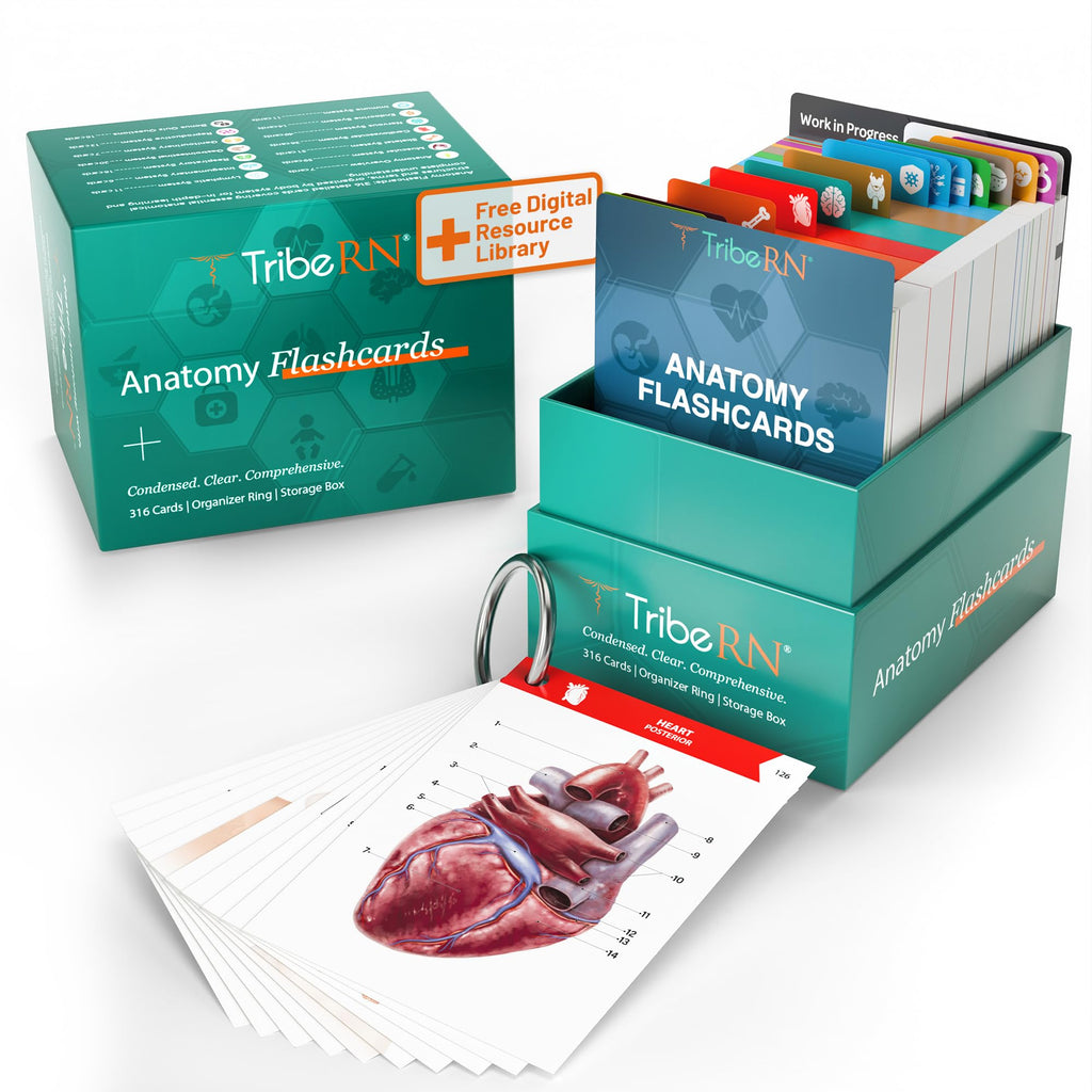 TribeRN Anatomy and Physiology Flash Cards – 320 Study Resources for Students – Human Anatomy & Physiology Study Tools – Medical, Nursing School Essentials – Durable & Easy to Use Flashcards