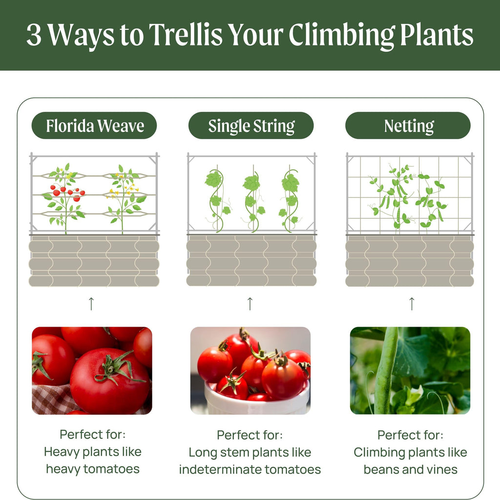 Vego Garden 8.0ft Long Tomato Metal Frame Trellis, Garden Trellis for Climbing Plants Like Cucumber Beans Tomatoes & Vines, (Garden Beds Not Included)