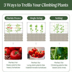 Vego Garden 8.0ft Long Tomato Metal Frame Trellis, Garden Trellis for Climbing Plants Like Cucumber Beans Tomatoes & Vines, (Garden Beds Not Included)