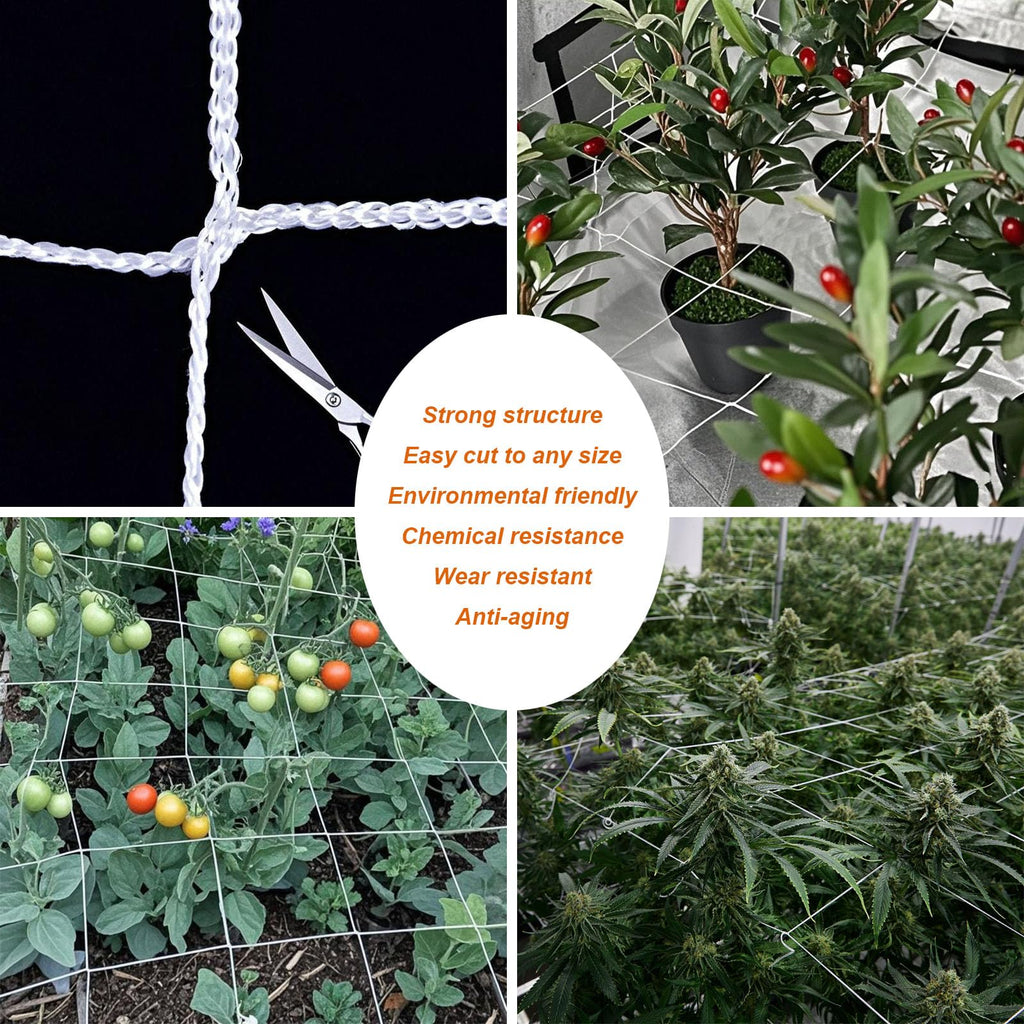 EDYCARX Nylon Trellis Netting Roll 5 x 350 ft, 6 Inch Soft Mesh, Heavy Duty Reinforced Garden Plant Support Mesh for Vertical Growing, Climbing Plants