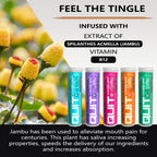 Xero Picks Infused Flavored Toothpicks to Help Quit Smoking - Nicotine Free (Variety Pack, 20 Count (Pack of 5)) Non-GMO Kosher Vegan