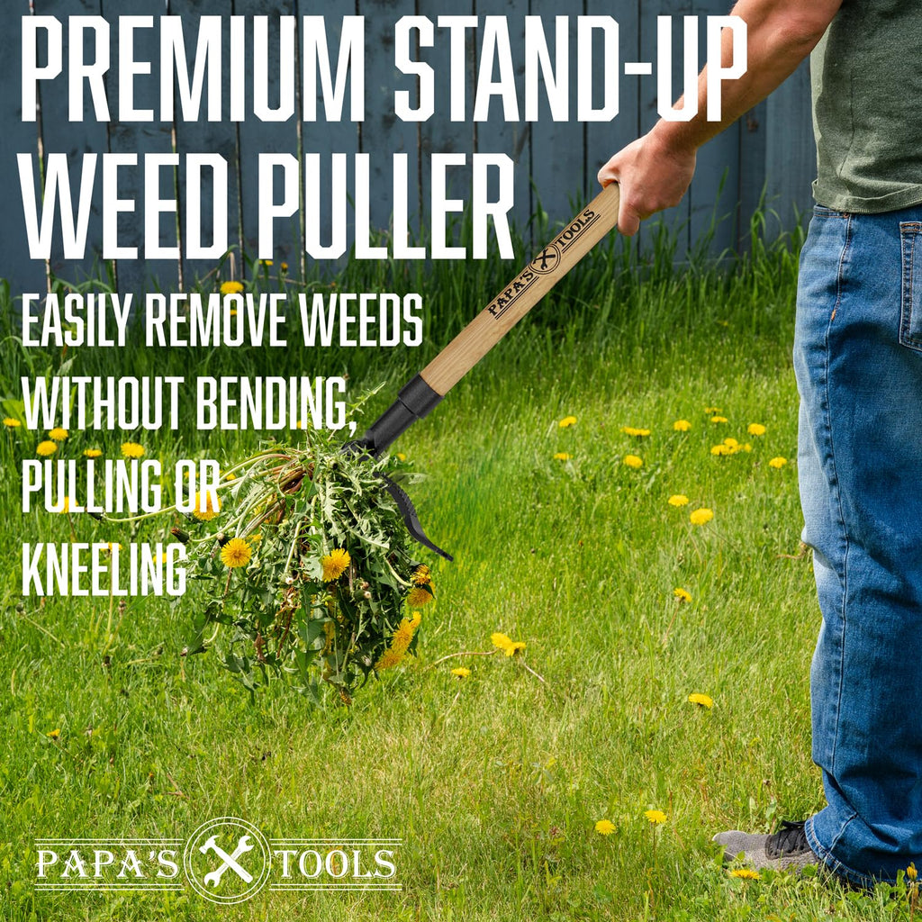 Papa's Tools One-Piece Weed Puller Tool - Stand Up Weeder, Heavy Duty Long Wooden Handle, Real Bamboo, 4-Claw Steel Head