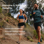 Livingood Daily Immune Support Supplement, 4-in-1 Formula with Oregano Oil, Monolaurin, L Lysine & Quercetin, Gut & Digestive Health, Gluten Free, Vegan, Non GMO, Allergen Free, 120 Capsules