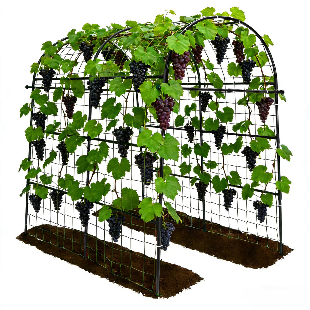 Trellume Garden Arch Trellis for Climbing Plants Outdoor - 83" H*71" W*43" L Large Rustproof Garden Trellis, Heavy Duty Grape Trellis, Tunnel Trellis for Melons, Pumpkins, Cucumbers, Peas(Black)